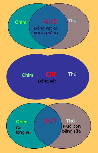 Toán tử Boolean